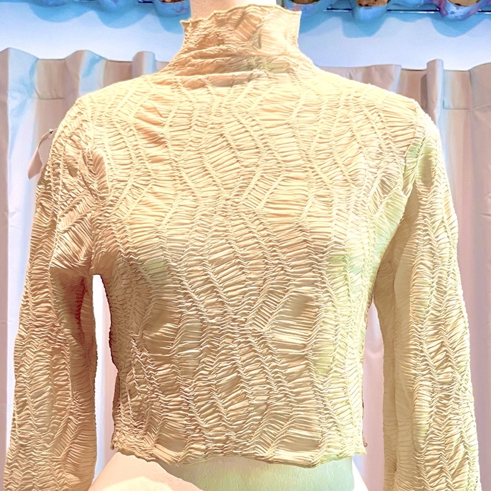Cropped Blouse